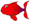lil fish